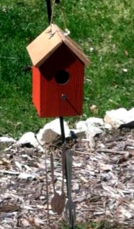 Birdhouse in Linda's Garden