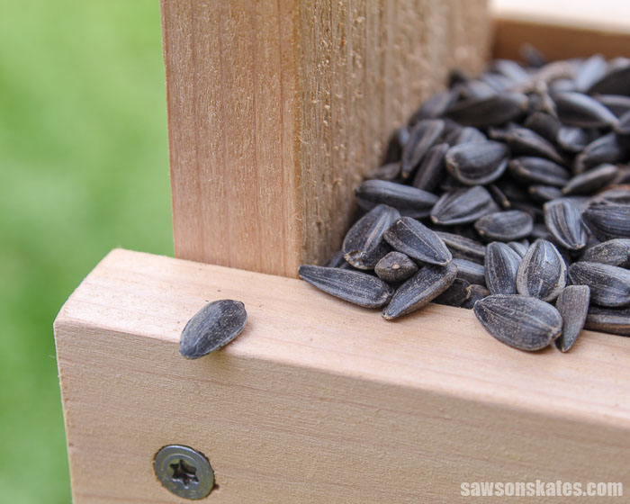 Birdseed spilling out of an easy to make DIY bird feeder