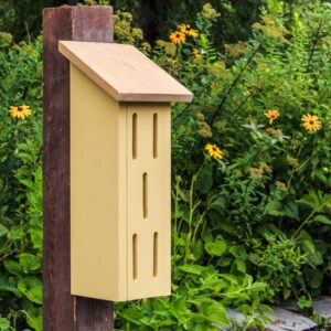 DIY butterfly house in a garden