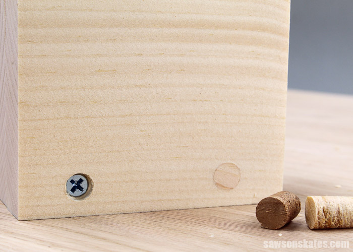 Countersink hole filled with a wood plug