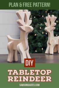 diy-wooden-tabletop reindeer-pin-1 - Saws on Skates