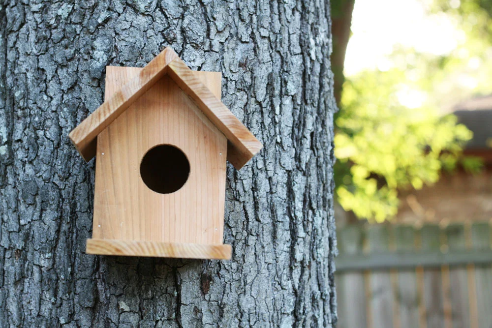 bird house diy