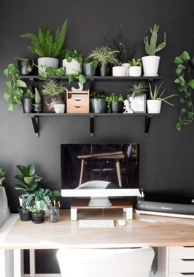wood computer riser shown with plants