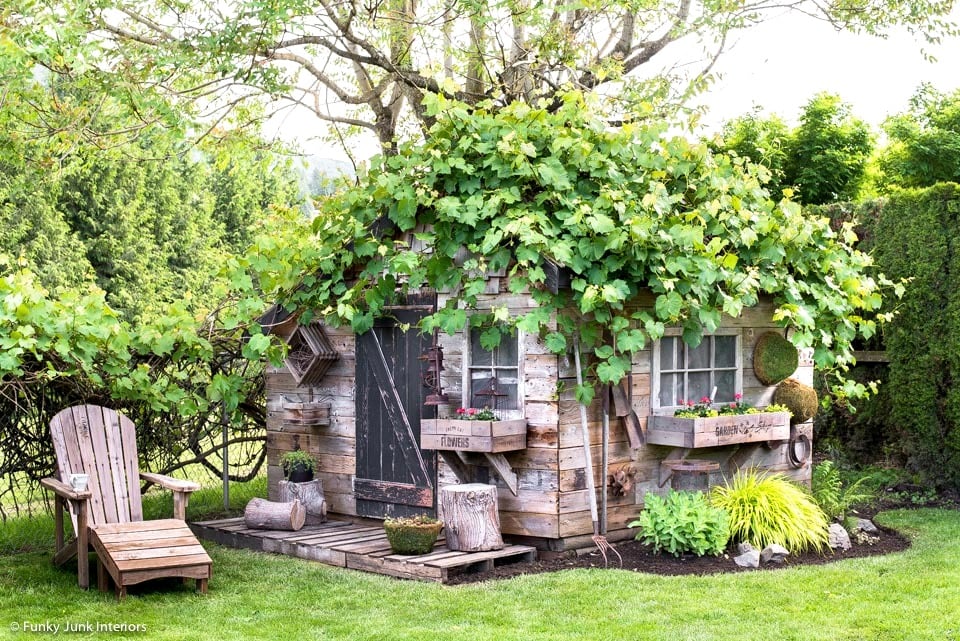 Shed with rustic siding covered in greenery