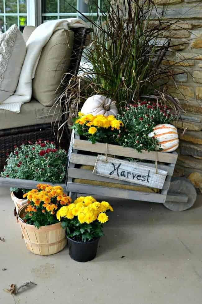 Wooden wheelbarrow filled with mums and pumpkins on a porch