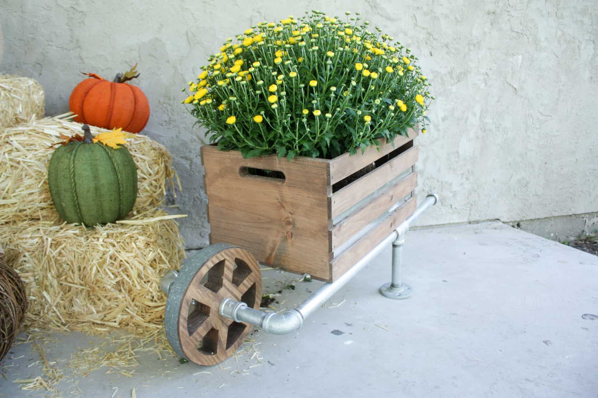 Wood and metal wheelbarrow filled with yellow mums next to hay bales
