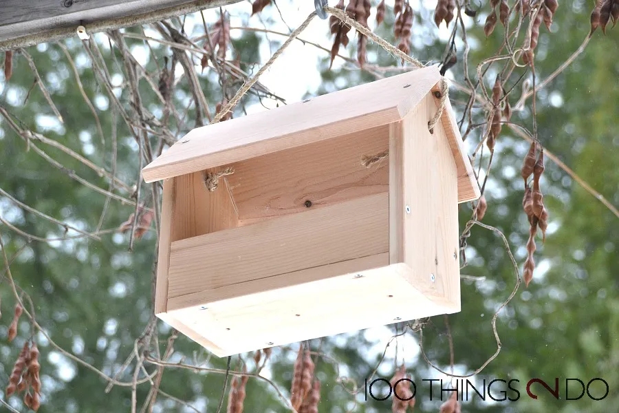 Wooden bird feeder hanging from a tree