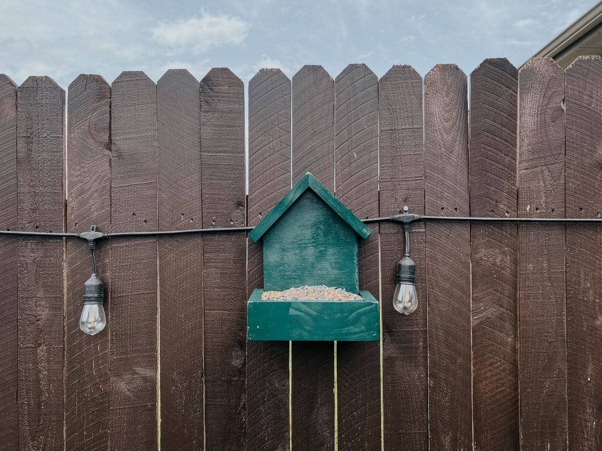 Green-painted bird feeder hanging on a fence