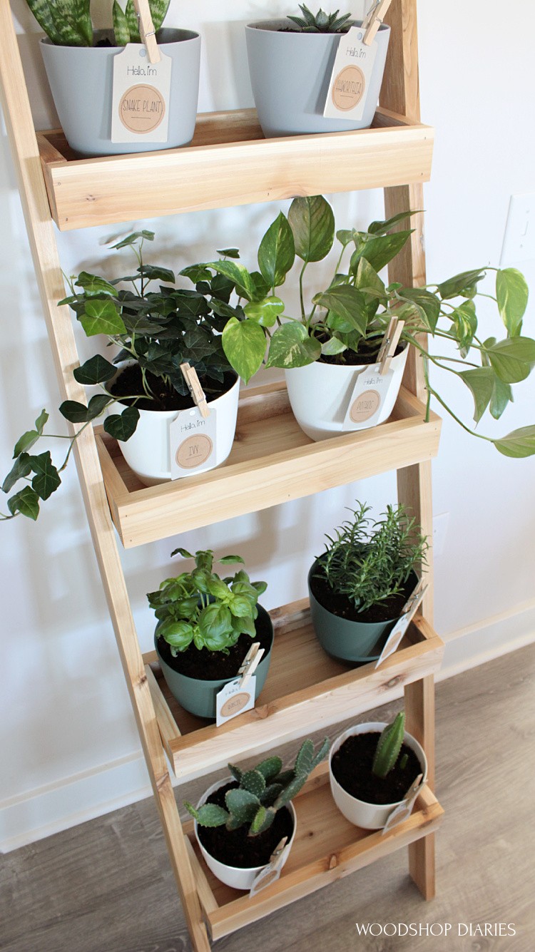 Multi-level wooden ladder-style plant stand