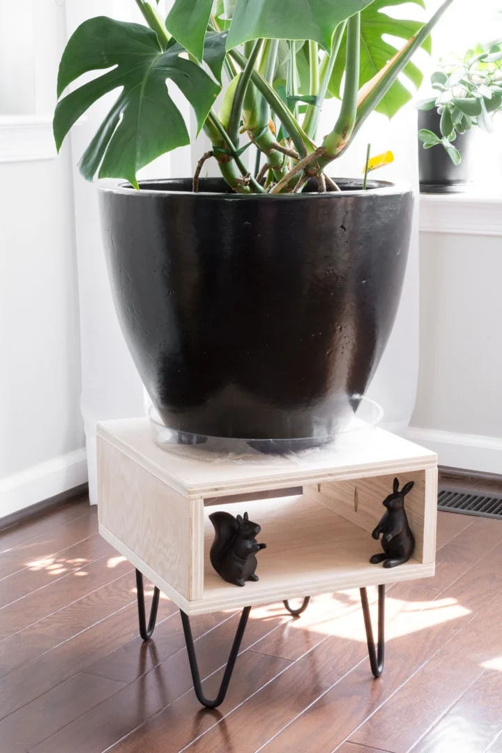 Plywood box-style plant stand on hairpin legs