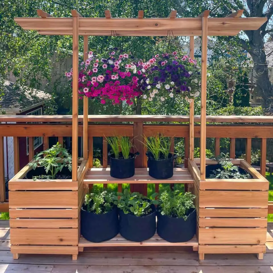 Large arbor-style plant stand on a deck