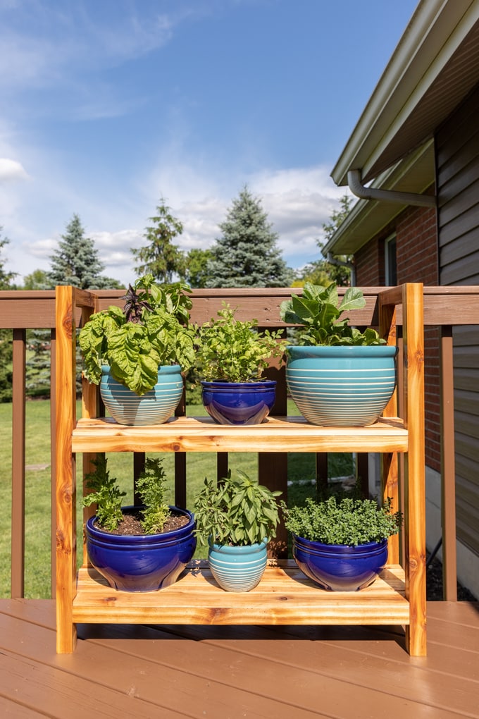 Two-tier wooden plant stand with ceramic pots on a deck